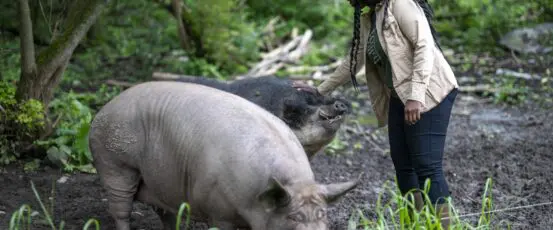 Triage and Referral Training