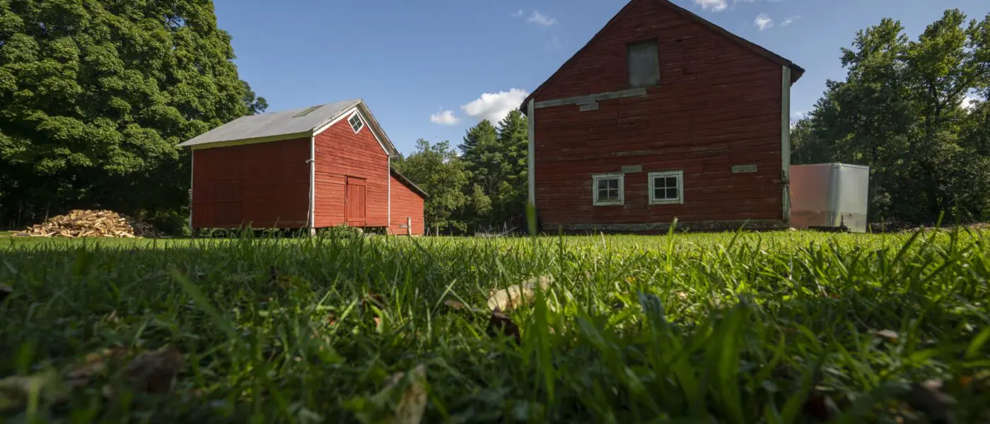 grass and barns