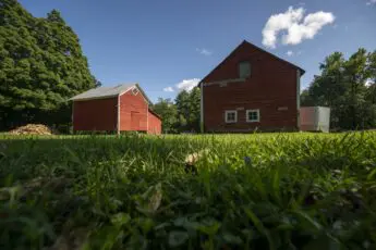 USDA & FSA Program Basics