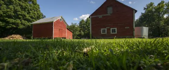 USDA & FSA Program Basics