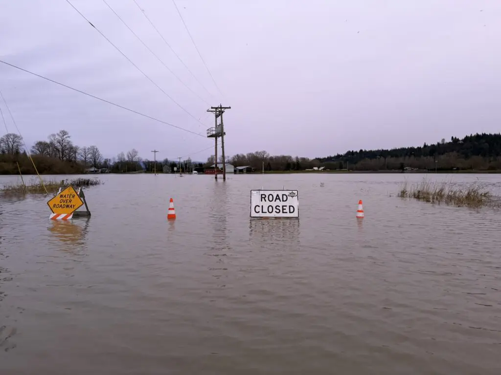 flooded farmland and road