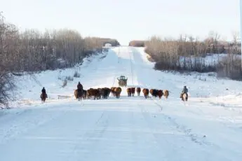 Supporting farmers in this season of giving and gratitude