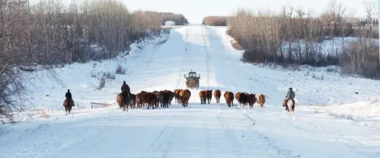 Supporting farmers in this season of giving and gratitude