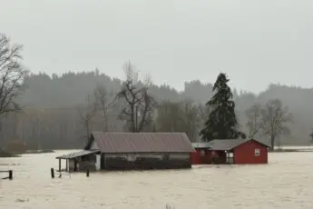 Resources for Farmers and Ranchers Affected by Floods in Washington