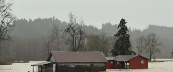 Resources for Farmers and Ranchers Affected by Floods in Washington