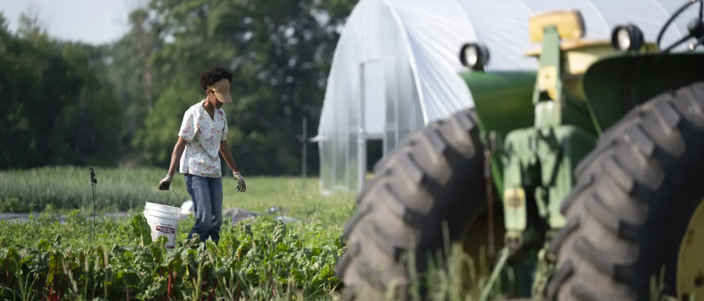person in field with tractor in foreground