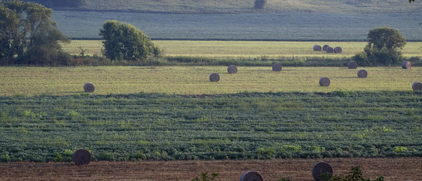 Hay bales in a green, hilly farm field.