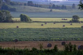 Why Farm Aid doesn’t support the Farm, Food, and National Security Act