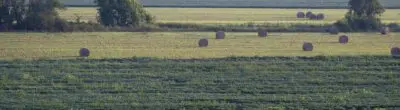 Hay bales in a green, hilly farm field.