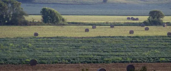 Why Farm Aid doesn’t support the Farm, Food, and National Security Act