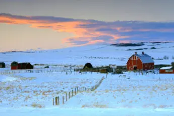 Farm Aid’s 2025 Accomplishments