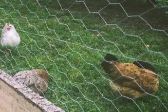 Our Breaking Bread Series Explores Stories of Everyday People’s Fight for Justice