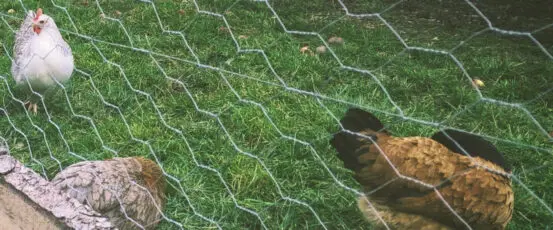 Our Breaking Bread Series Explores Stories of Everyday People’s Fight for Justice