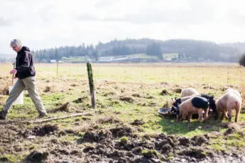 Farm Aid Partners with the University of Texas to Help Farmers Prepare for Disaster
