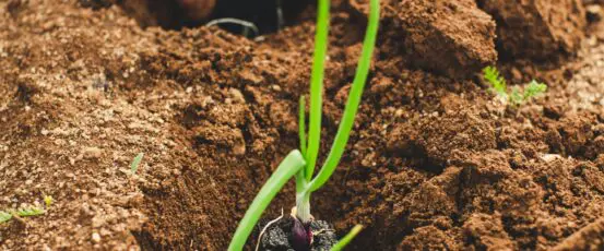 What’s been happening with farm policy in 2026?