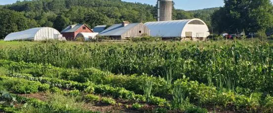 When Disaster Becomes the Norm: Climate Risk and the Future of Northeast Agriculture