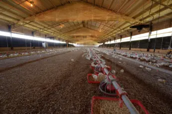 USDA’s Plan to Roll Back Protections Will Hurt Farmers and Ranchers