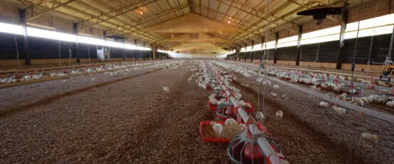 USDA’s Plan to Roll Back Protections Will Hurt Farmers and Ranchers