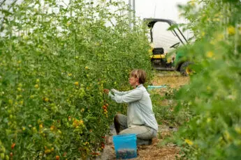 Change to Important Federal Rule Would Negatively Impact Farmers and Our Food System