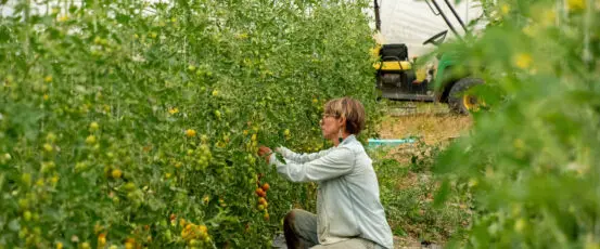 Change to Important Federal Rule Would Negatively Impact Farmers and Our Food System