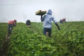 Breaking Bread: Solidarity Over Silence — Standing with Immigrant Communities in Farm Country