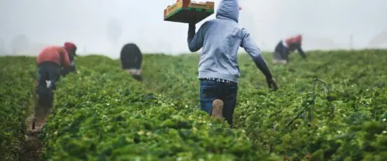 Breaking Bread: Solidarity Over Silence — Standing with Immigrant Communities in Farm Country