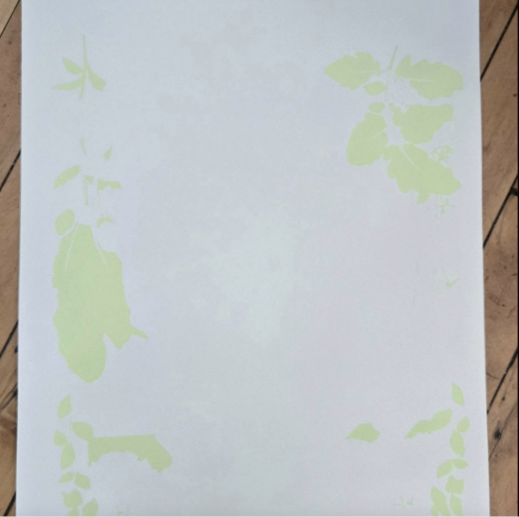 First step of screen print, one light green color