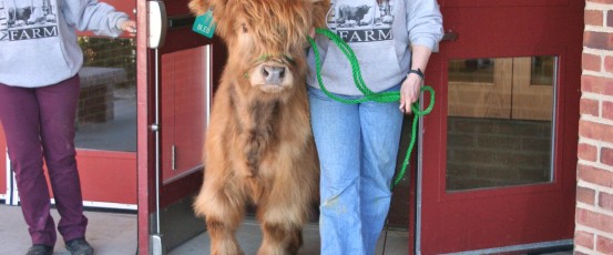 Farm to School Heroes in New Hampshire