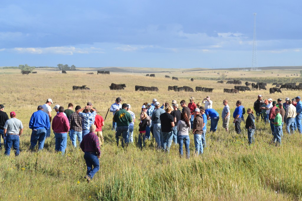 Farm Aid Grants — Keeping Family Farmers on the Land