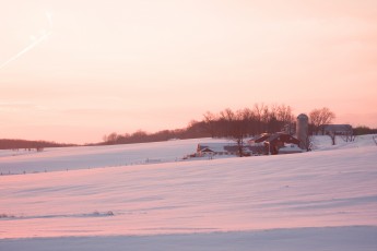 Looking back at my first winter at Farm Aid