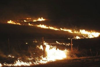 Devastating Wildfires Spur Farm Aid to Activate Family Farm Disaster Fund