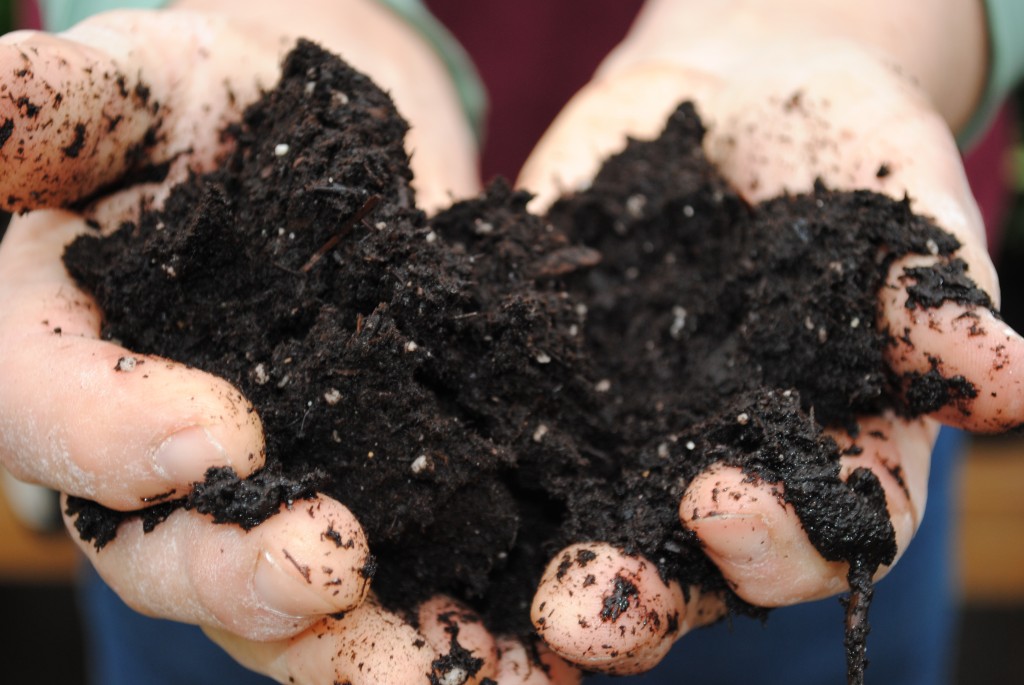 Soil in Hands