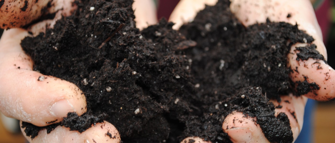 Soil in Hands