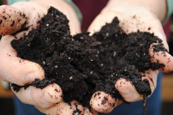 Soil. Sweet, sweet, soil.