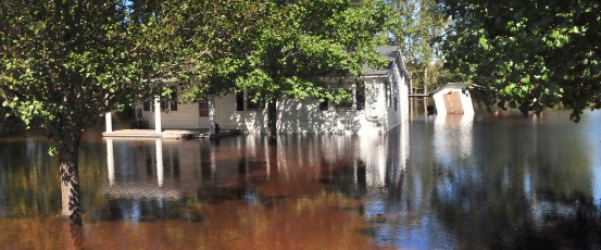 After the Flood, Gov. Haley is Leaving South Carolina Farmers High and Dry
