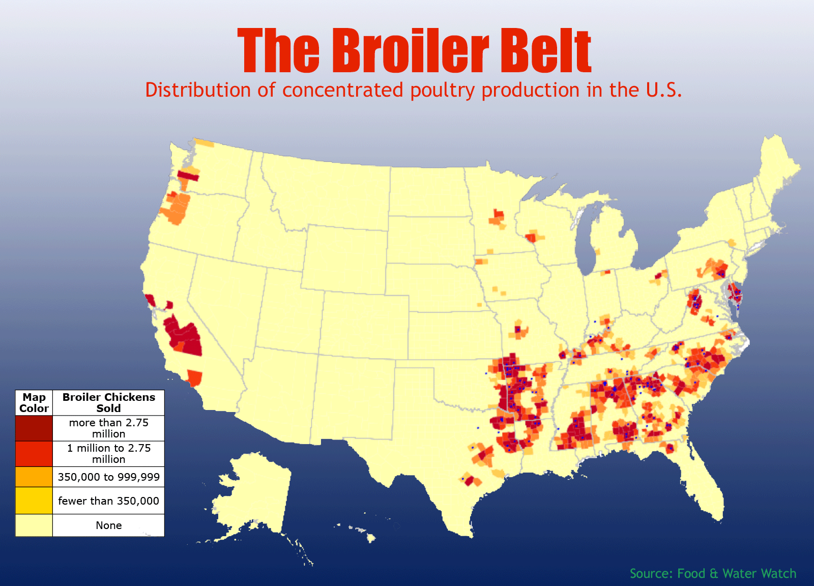 The Broiler Belt