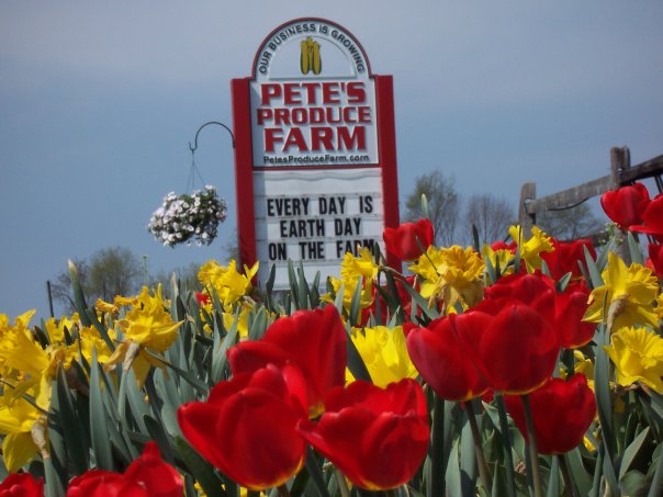 Pete Flynn - Farmer Hero #2