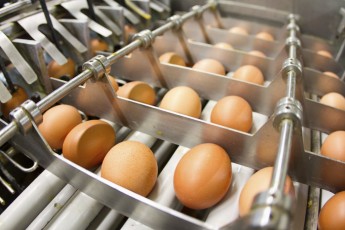Egg shortage, Texas floods & Other news