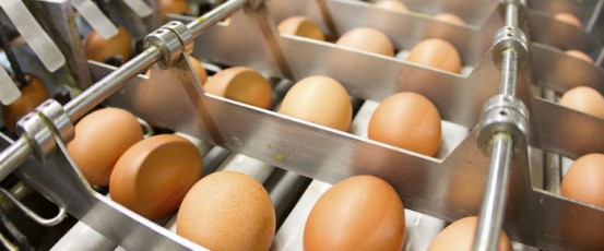 Egg shortage, Texas floods & Other news