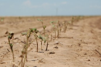 Drought, Nitrogen, Food waste & Other news