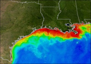 gulf_of_mexico_dead_zone