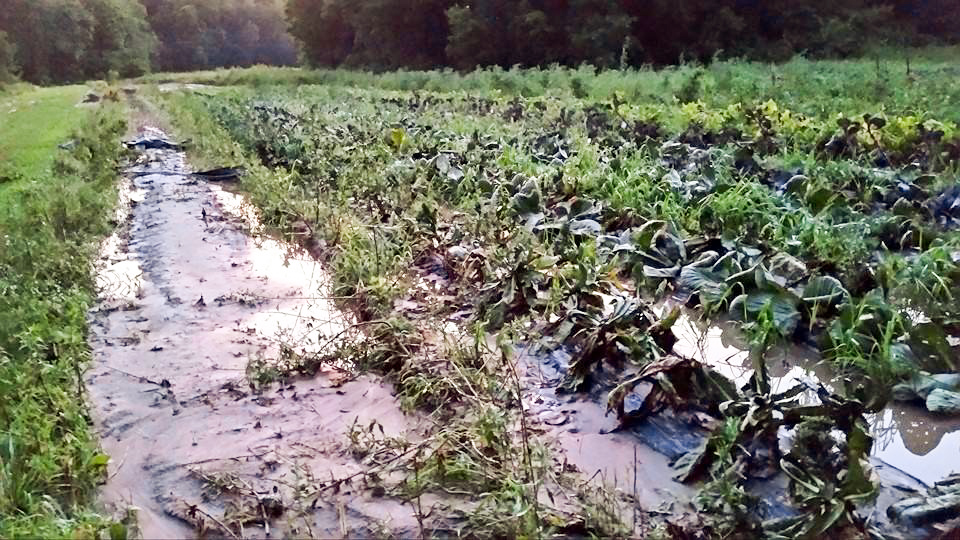 illinois farm flood 2015