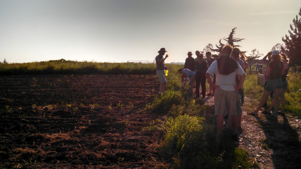 A Nebraska Young Farmer Nights near Raymond, NE.