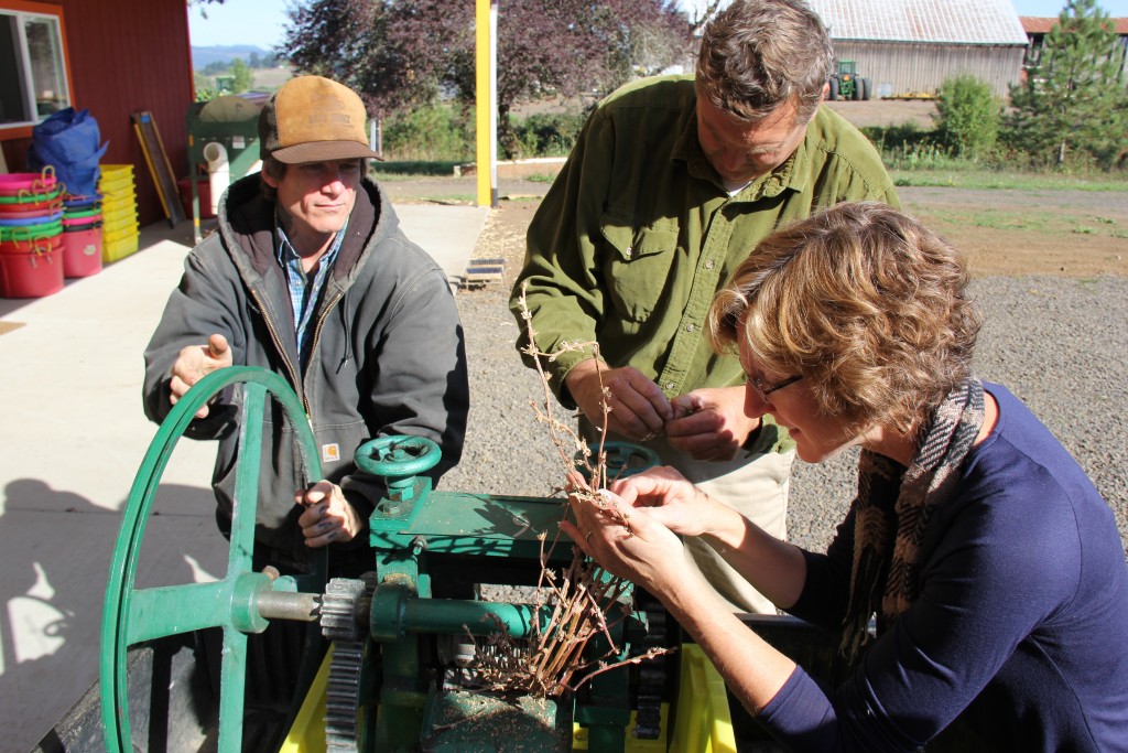 OSA’s research team with a seed-cleaning machine.