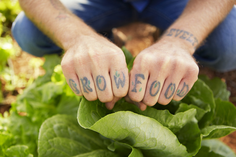 grow-food-lomax