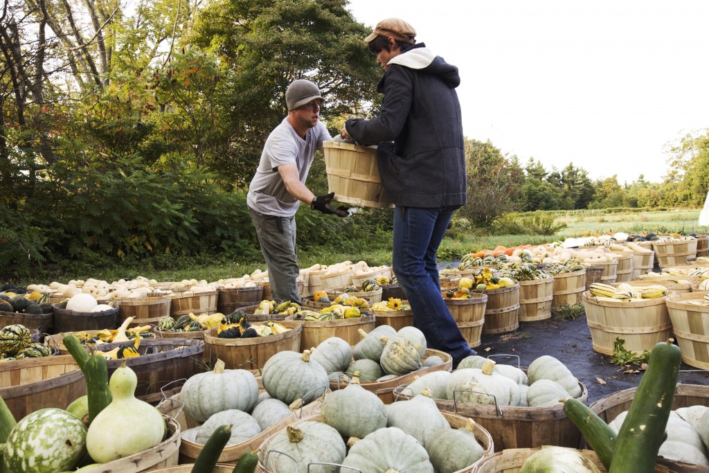 Farmers preparing for market.