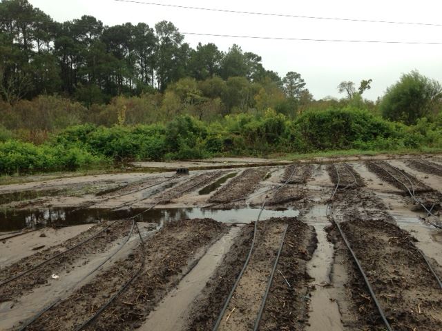 South Carolina flood damage, courtesy of Lowcountry Local First