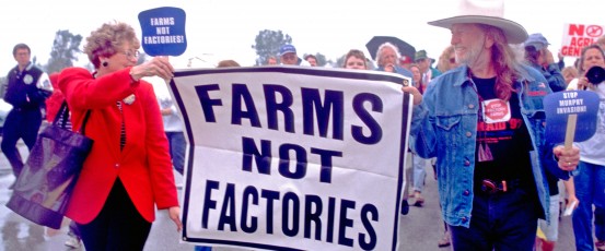 Fighting for Family Farms in Minnesota
