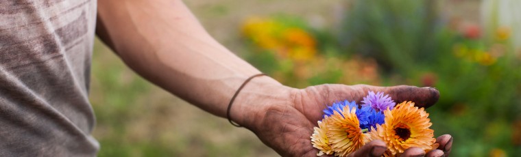 Ways You Can Support Farm Aid