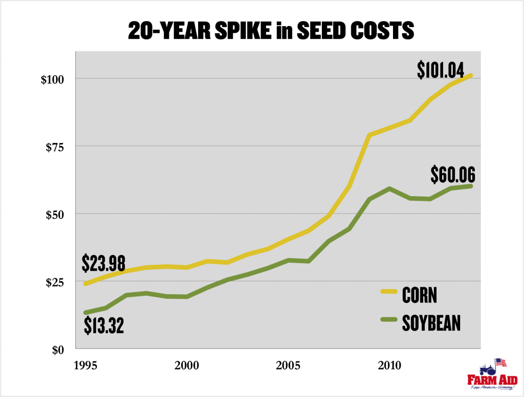 seed cost spike chart